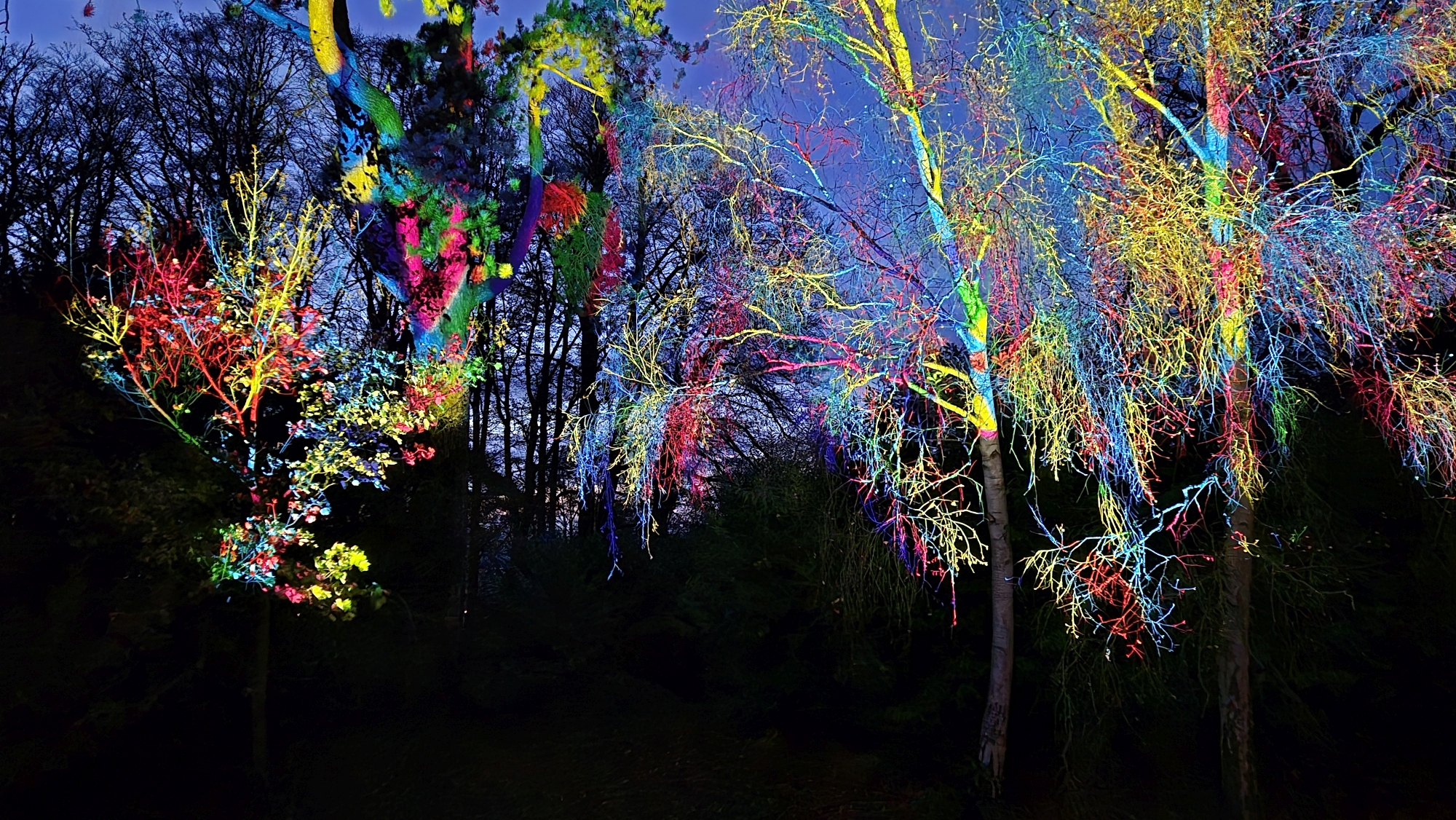 Waddesdon Light Show